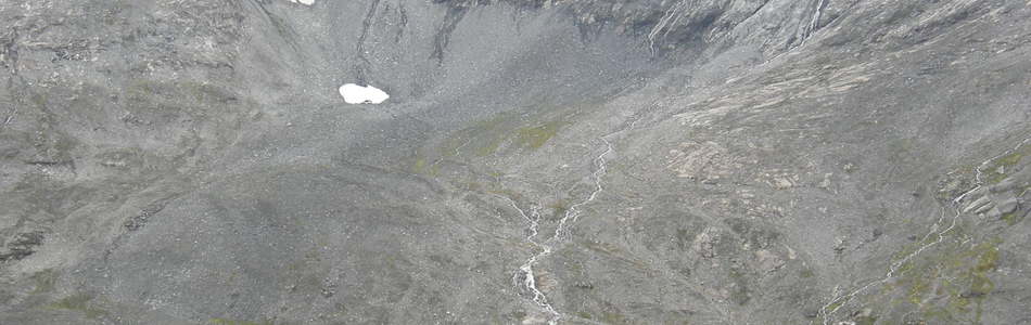 Foto av breforland og snøavsmeltingsområde