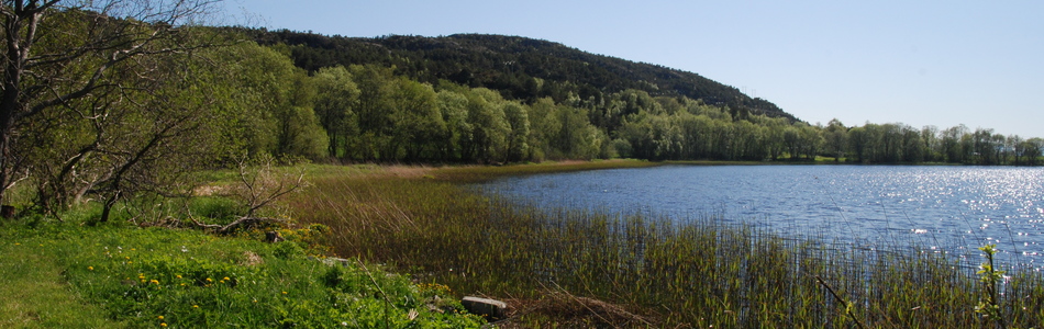 Foto av ferskvannsdriftvoll