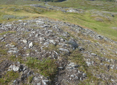 Foto av svakt kalkrike fjell-lyng- og lavheier