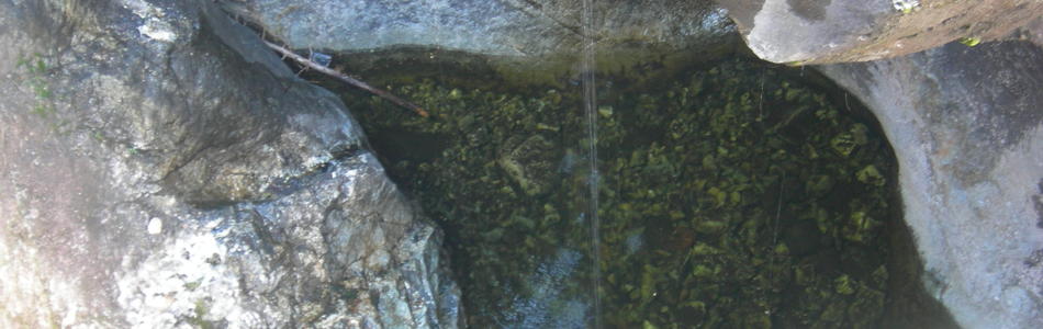 Foto av kalkfattige til svakt kalkrike tørkeutsatte grotter og overheng