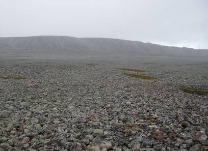 Foto av skjellsand- grus- og steindominerte strender og strandlinjer