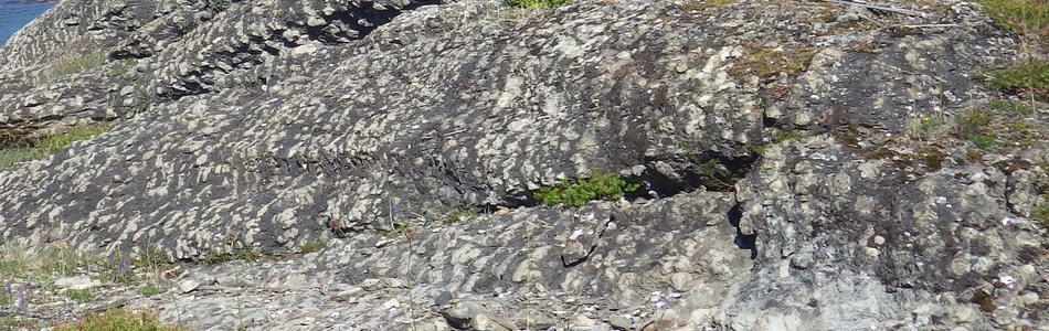 Foto av uttørkingseksponerte temmelig til ekstremt kalkrike berg, bergvegger og knauser
