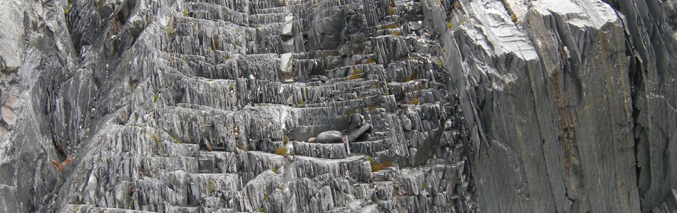 Foto av uttørkingseksponerte litt kalkfattige og svakt intermediære berg, bergvegger og knauser