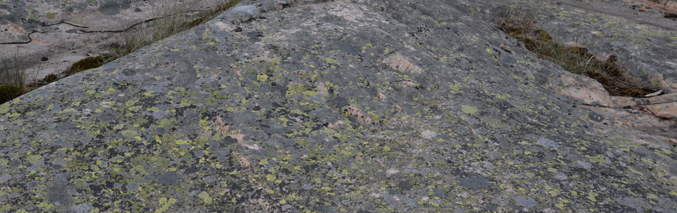 Foto av uttørkingseksponerte svært og temmelig kalkfattige berg, bergvegger og knauser