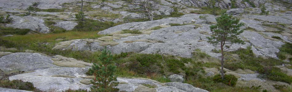 Foto av nakent berg