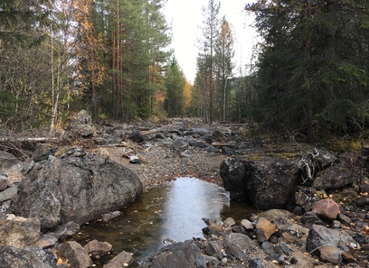 Foto av tørrlagt elvebunn