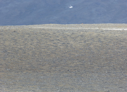 Foto av kalkfattige finjordsflekker