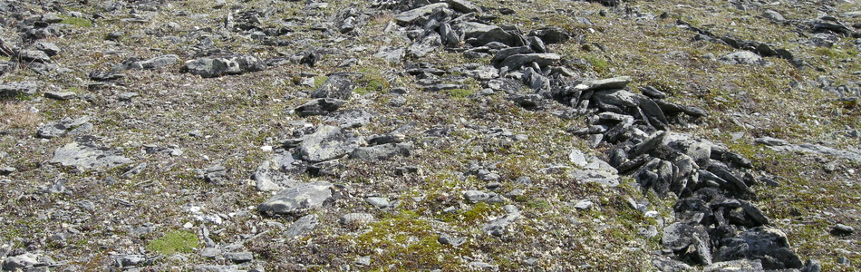 Foto av kalkrike finjordsflekker