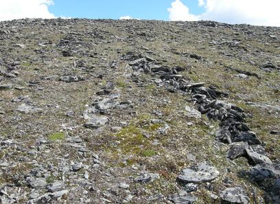 Foto av kalkrike finjordsflekker