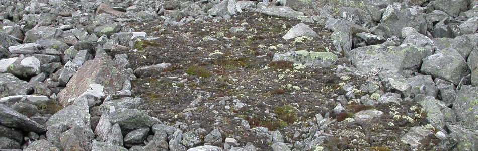 Foto av oppfrysingsmark