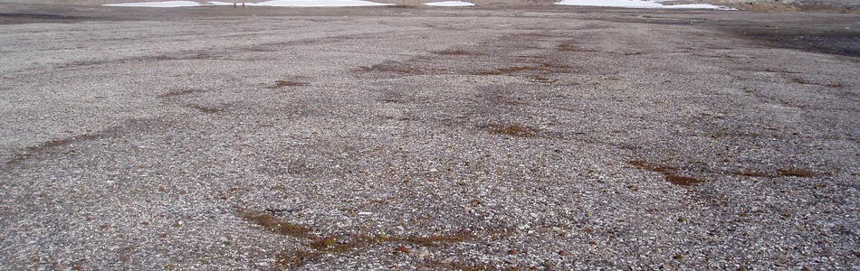 Foto av sterkt kalkrik polarørken