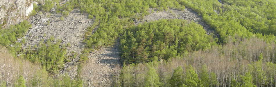 Foto av intermediær og svakt kalkrik fuktig ur