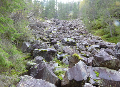 Foto av lite tørkeutsatte kalkfattige rasmarker
