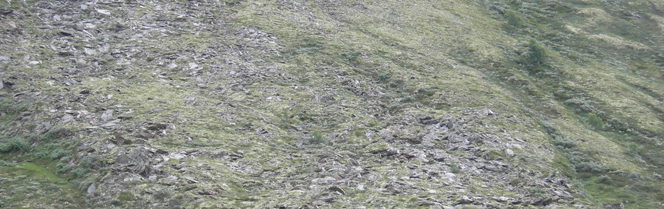 Foto av sterkt kalkrik fuktig ur