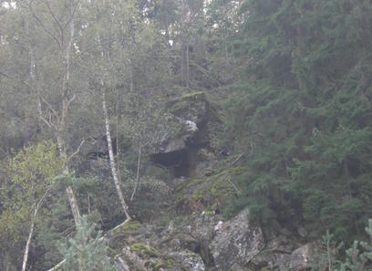 Foto av lite tørkeutsatte sterkt kalkrike rasmarker