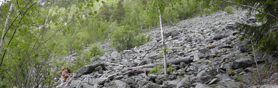 Foto av intermediær og svakt kalkrik grov ur