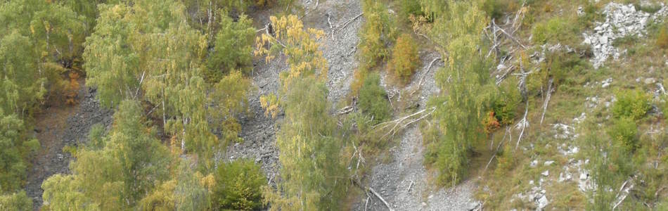 Foto av intermediær og svakt kalkrik ur