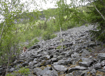 Foto av tørkeutsatte intermediære og svcakt kalkrike grove rasmarker
