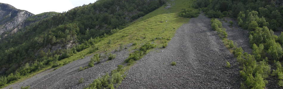 Foto av rasmark