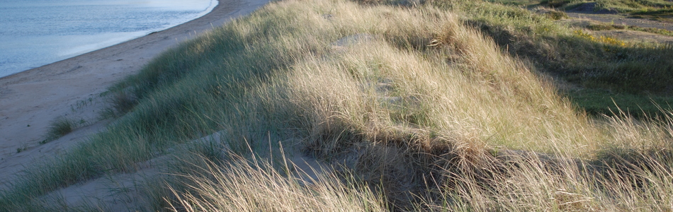 Foto av kvite og grå dyner