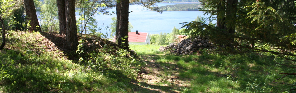 Foto av kalkfattig tørreng med mindre hevdpreg