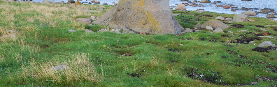 Foto av nedre semi-naturlig strandeng