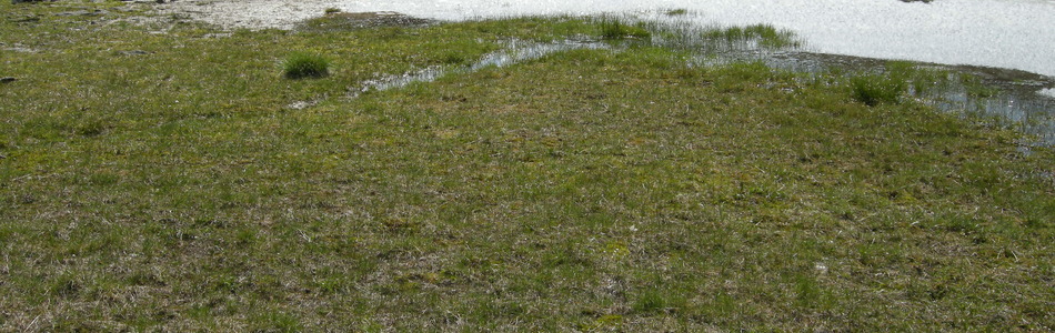 Foto av snøleie