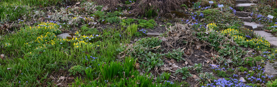 Foto av blomsterbed og liknende