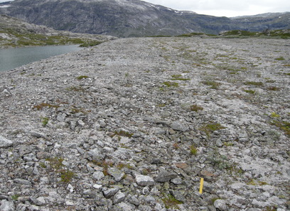 Foto av sterkt endrede fastmarker med dekke av sand eller grus