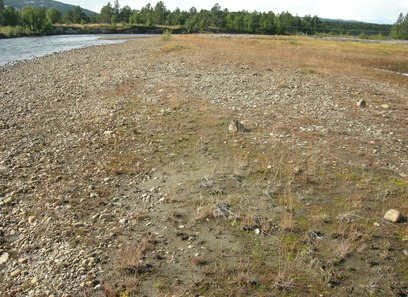 Foto av åpne flomfastmarker