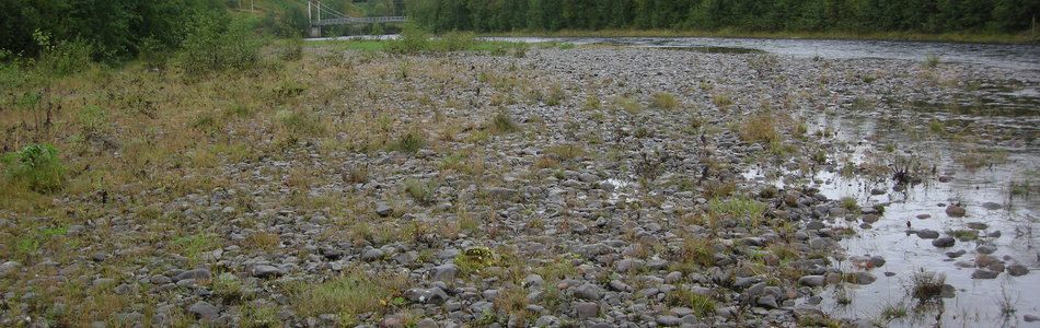 Foto av åpne flomfastmarker på sand, grus og stein