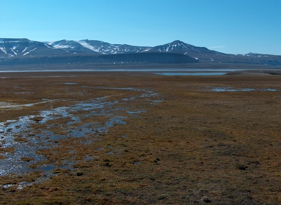 Foto av kalkrik permafrost-våtmark