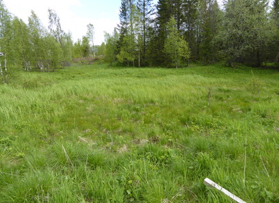 Foto av nye våtmarker med opprinnelse i jordbruksmark på fastmark