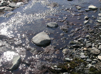 Foto av ekstreme våt- og kildesnøleie